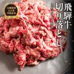 飛騨牛 切り落とし 200g×10袋