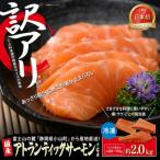 サーモン 訳あり 約2kg