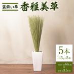 装飾い草 香雅美草 一束 約68cm×約3.5cm