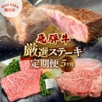 飛騨牛厳選ステーキ 5ヶ月定期便