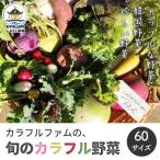 三陸山田産 カラフル 野菜 詰め合わせ 令和8年