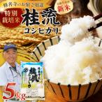 米 修善寺産 桂流コシヒカリ 5kg