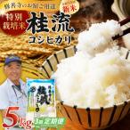 米 修善寺産 桂流コシヒカリ 5kg