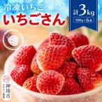 ふるさと納税 神埼市 冷凍いちご(い