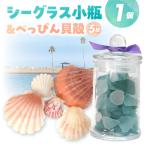 シーグラスとべっぴん貝殻のセット_S183-004