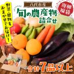 旬の農産物詰合せ 7品以上