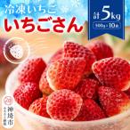 ふるさと納税 神埼市 冷凍いちご(い