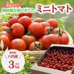 野菜ソムリエ 岡田健志郎が育てた ミニトマト 3kg以上