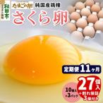 定期便11回 純 鶏種 卵 さくら 27個+割れ保証3個 10個×3P