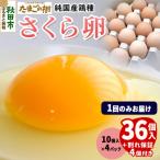 たまごの樹 純 鶏種 卵 さくら 36個+割れ保証4個 10個×4P