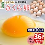 定期便10回 純 鶏種 卵 さくら 36個+割れ保証4個 10個×4P