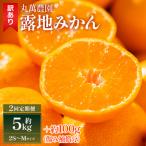 露地みかん 2S~Mサイズ 5kg