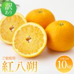 紅八朔 ご 約10kg