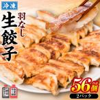 羽根つき冷凍生餃子2パック 56個入