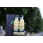 ヤマ シークニン果汁300ml×2本セット
