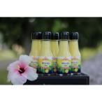 ヤマ シークニン果汁70ml×5本セット