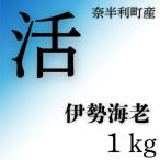 fu.... налог . половина выгода блок . Исэ город море .1kg 133004