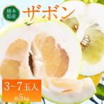 訳あり八代ザボン約5kg _232-4969-A