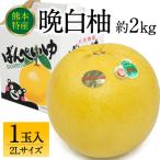 晩白柚 2L