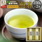 東 栽培期間中 農薬不使用 煎茶 NO.1 はつつみ