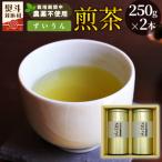 東 栽培期間中 農薬不使用 煎茶 NO.2 ずいうん 250g×2