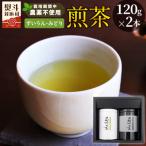 東 栽培期間中 農薬不使用 煎茶 NO.15
