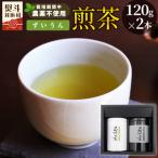 東 栽培期間中 農薬不使用 煎茶 NO.13