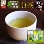 東 栽培期間中農薬不使用 煎茶 NO.27
