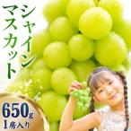 シャインマスカット 約650g