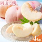 桃 岡山の桃 約4kg