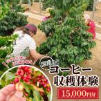 コーヒー収穫体験3名様分 15,000円分