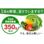 1日分の野菜 200ml