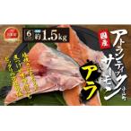 エリア 約1.5kg