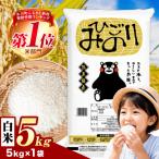 ふるさと納税 氷川町 ひごみのり 白米 熊本県産 ブレンド米 5kg《7-14日以内に出荷予定(土日祝除く)》
