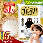 ふるさと納税 氷川町 【12ヶ月定期便】ひごみのり 無洗米 熊本県産 ブレンド米 5kg《お申込み翌月から出荷》