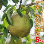 ☆フルーツ王国山形☆ ラ フランス 5kg