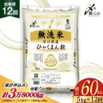 米 定期便 無洗米 ひゃくまん穀 5kg