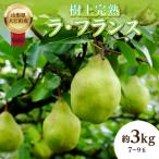 樹上完熟ラフランス 約3kg特秀 004-014