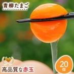 青柳たまご20個
