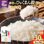 無洗米 6回 定期便 こしひかり 5kg×6回
