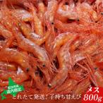 とれたて発送 子持ち甘えび メス 800g
