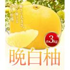 晩白柚 約3kg