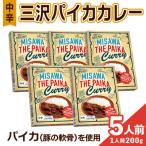 三沢パイカカレー 中辛 5個セット
