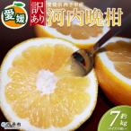 <訳アリ河内晩柑 サイズ混合 約7kg>かわちばんかん