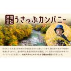 激流 ラフティング体験ツアー 半日コース 2名様
