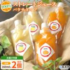 <100%ストレートジュース パウチタイプ160ml×2個>愛媛