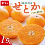 < 甘平 約1.5kg
