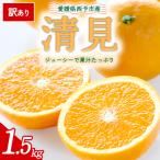 予定 みかん フレッシュ ご ご自宅 柔らか 果肉