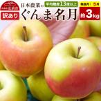 りんご サンふじ 約3kg