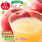 太陽の恵み 果汁100% りんごジュース 1L×10本入り